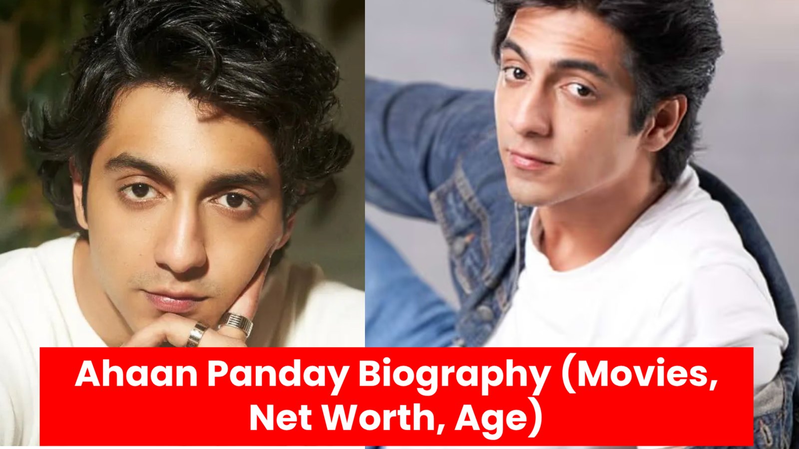 Ahaan Panday Biography (Movies, Net Worth, Age)